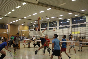 Volleybaum - MBO